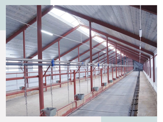 Строительство коровников в Анжеро-Судженске от 615 руб.