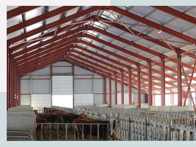 Строительство коровников в Анжеро-Судженске