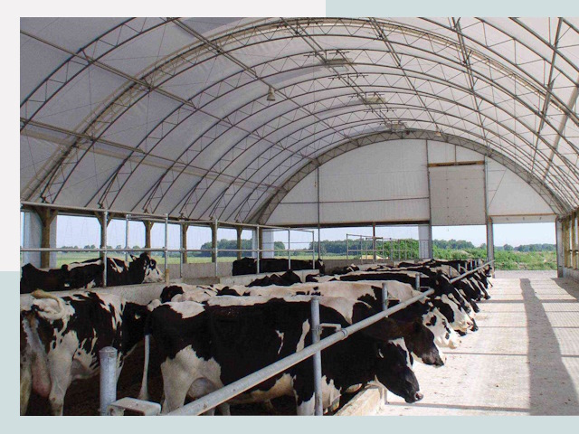 Тентовые коровники в Анжеро-Судженске